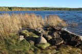 Шепелёвский маяк, image of landscape/habitat.