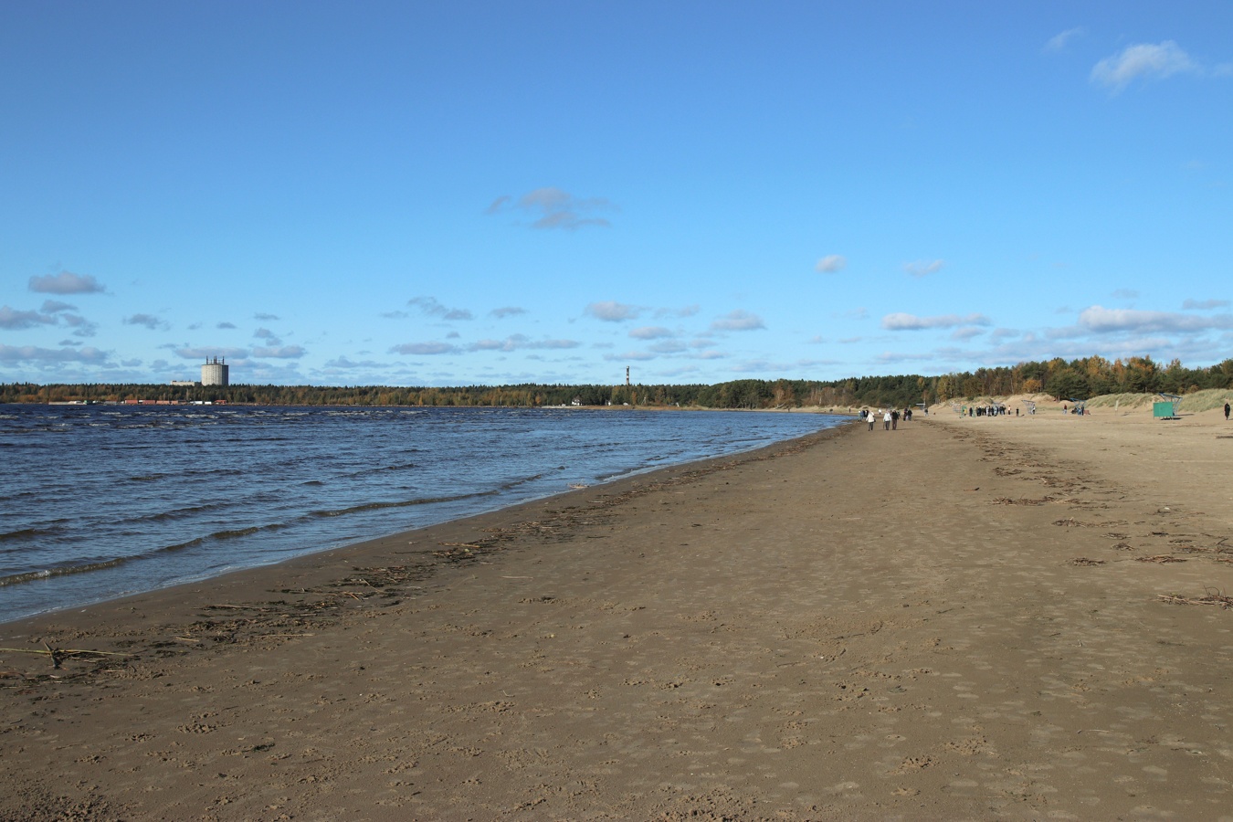 Сосновый Бор, image of landscape/habitat.