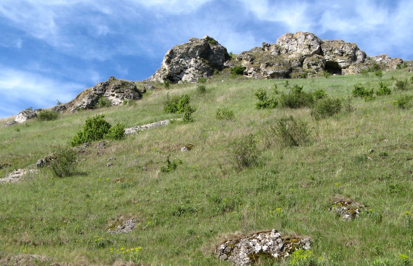 Брынзень, image of landscape/habitat.