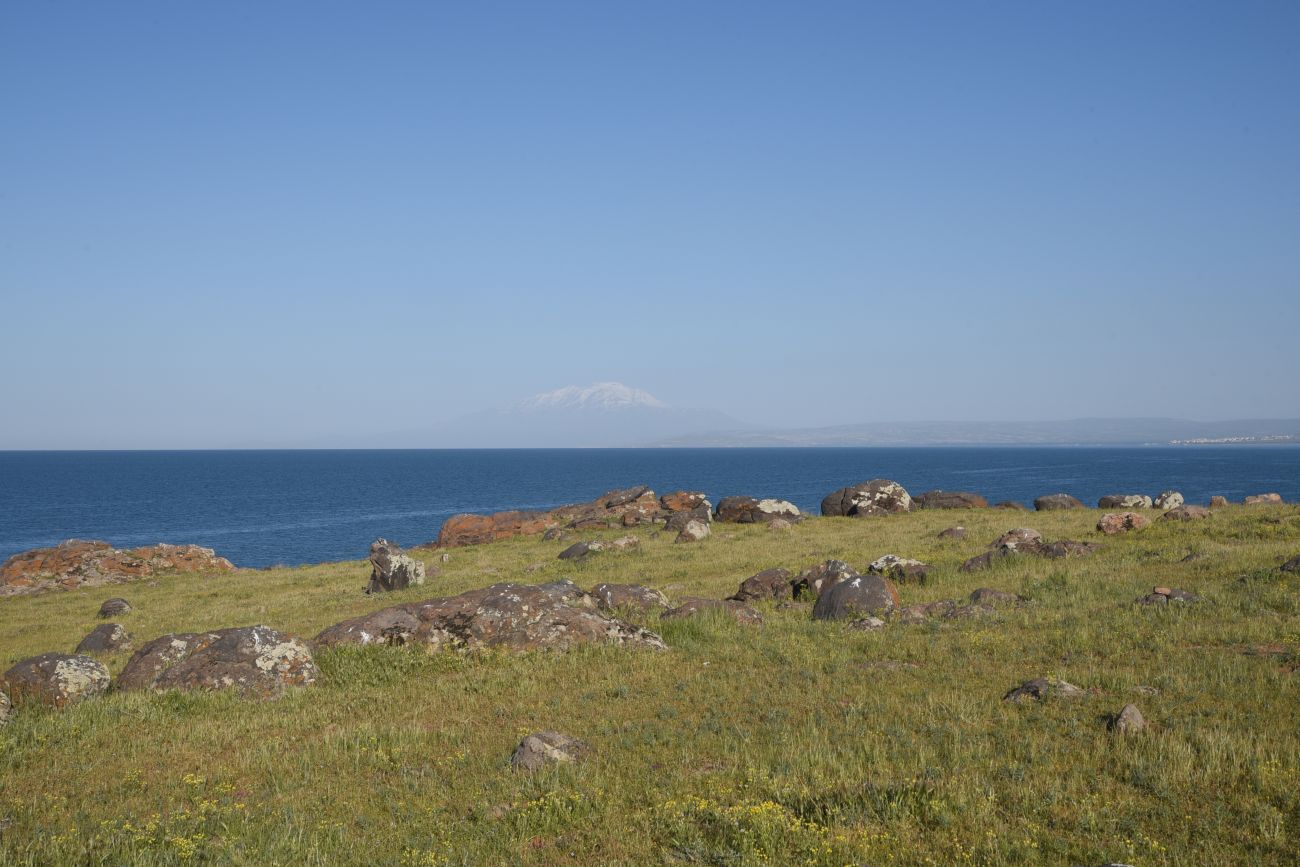 Окрестности Кечикыран, image of landscape/habitat.
