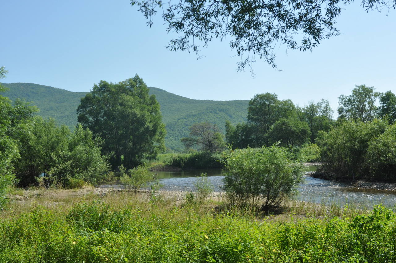 Терней, image of landscape/habitat.