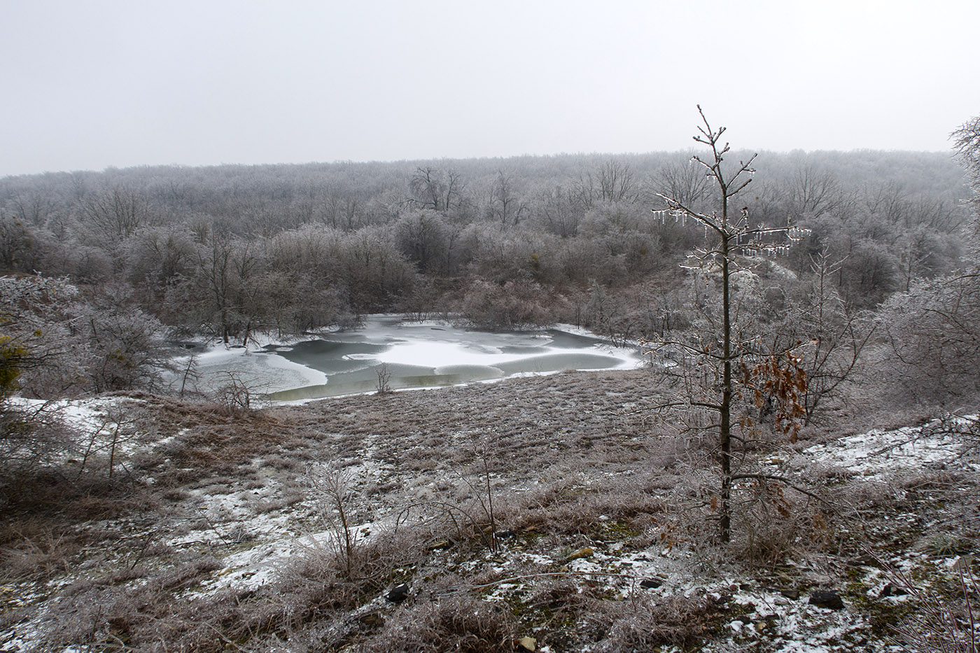 Карьер в Темрючках, image of landscape/habitat.
