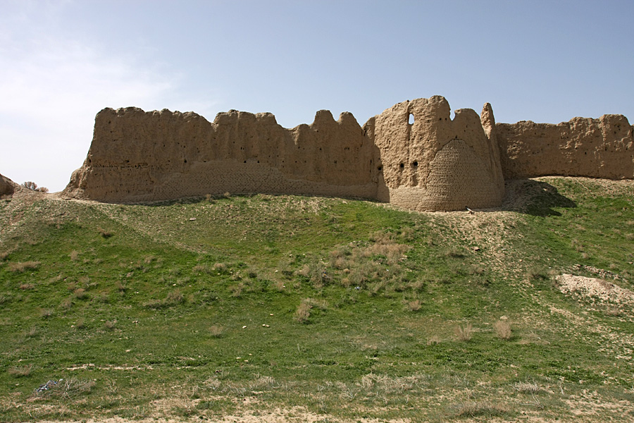 Городище Сауран, image of landscape/habitat.