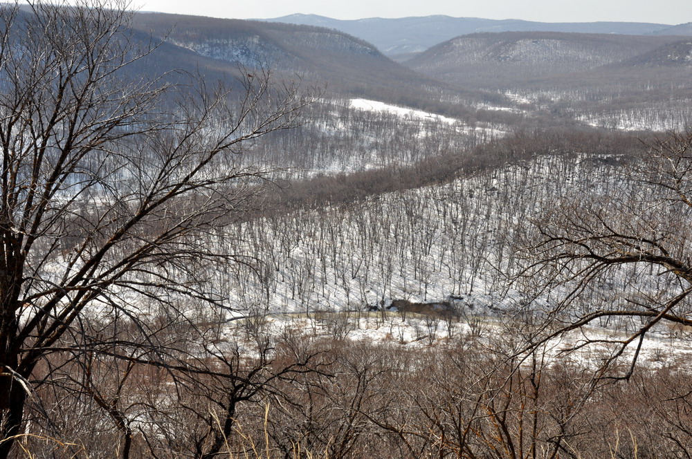 Монакино, image of landscape/habitat.