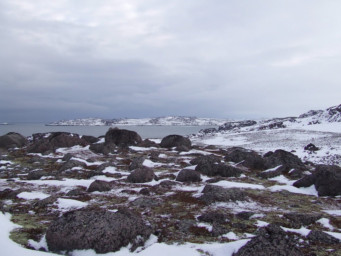 Долина ручья Хохрячий, image of landscape/habitat.