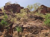 Image of landscape