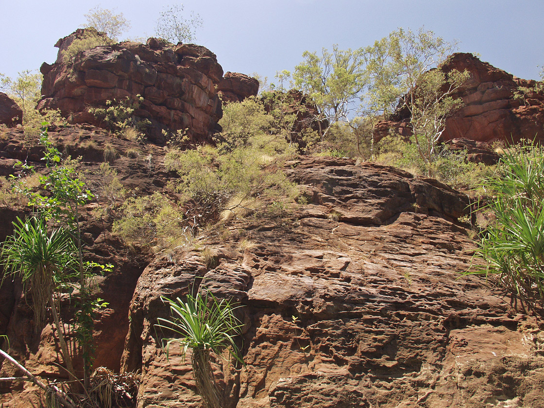 Boodjamulla (Lawn Hill), image of landscape/habitat.