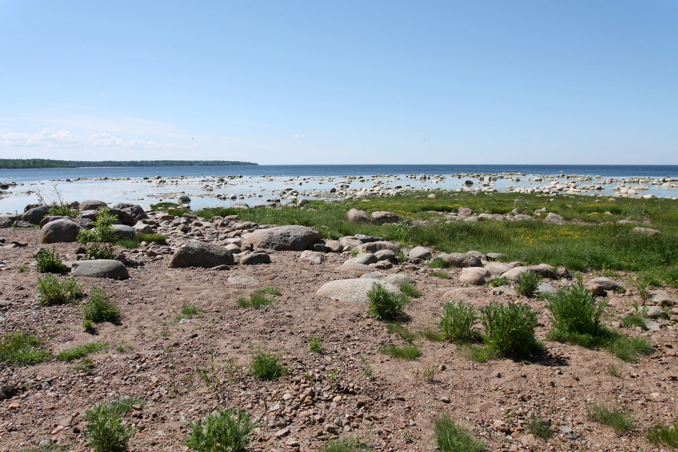 Шепелёвский маяк, image of landscape/habitat.