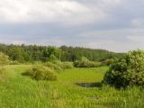 НПП "Деснянско-Старогутский", image of landscape/habitat.