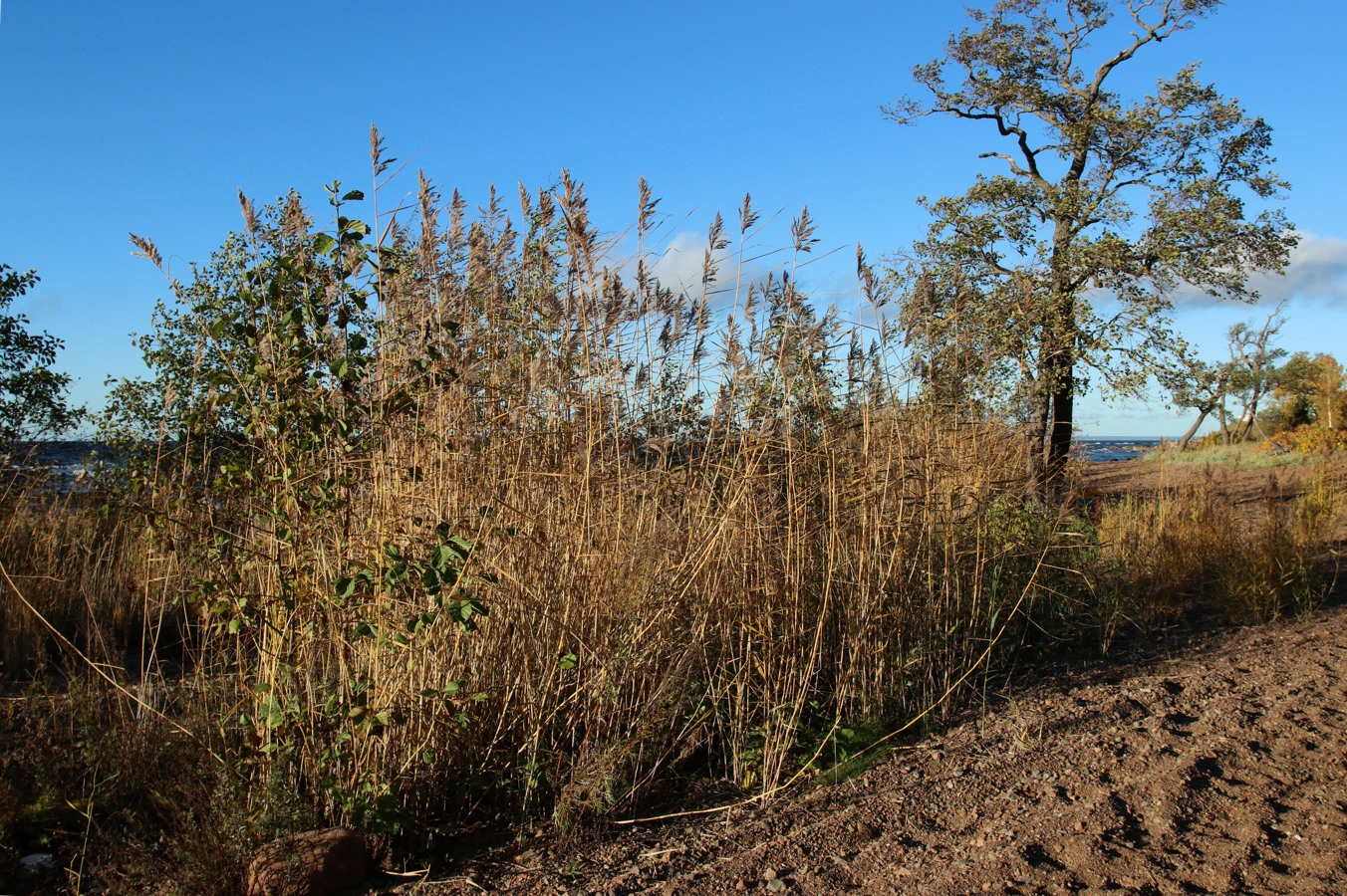 Каравалдай, image of landscape/habitat.