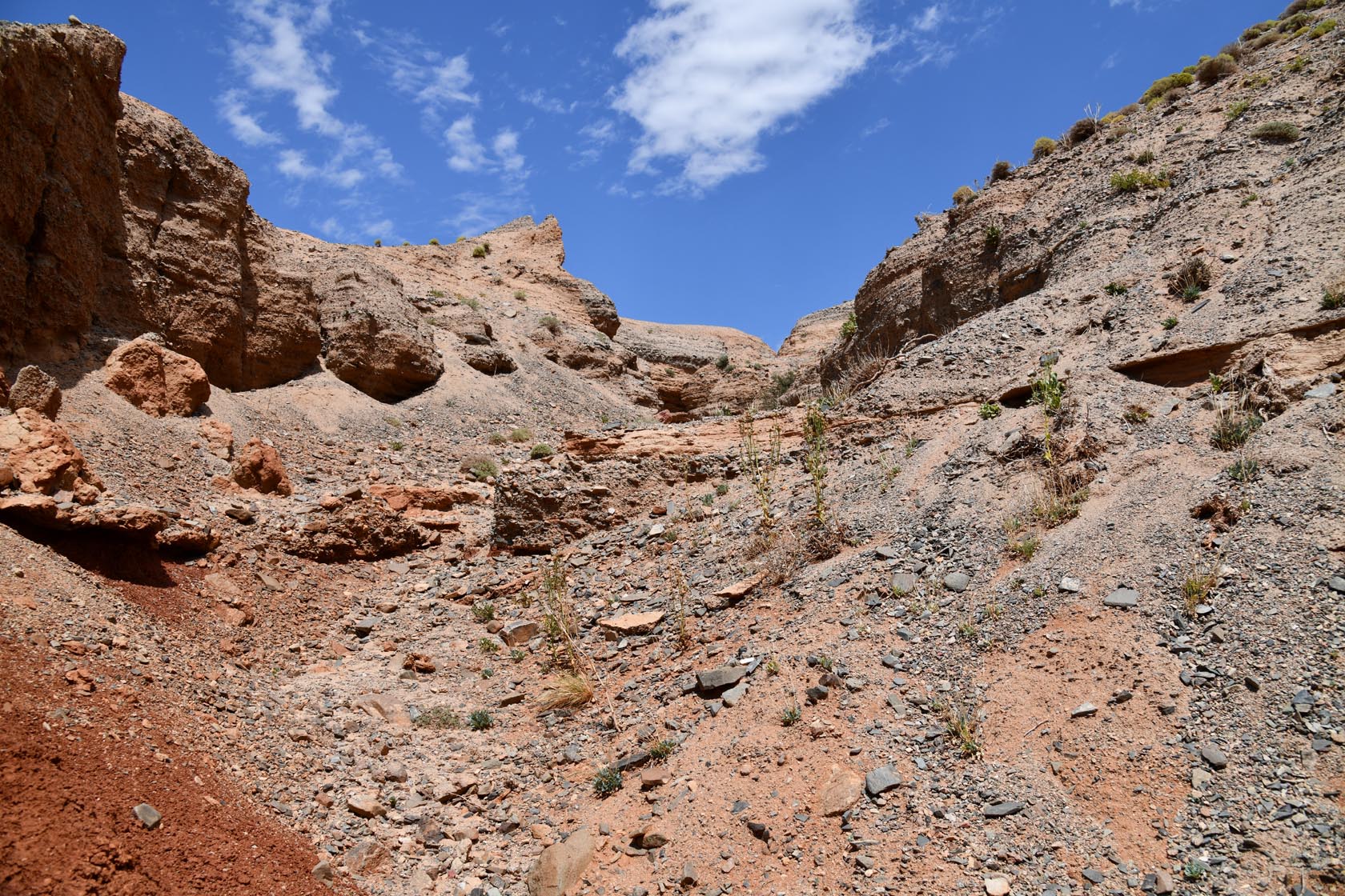 Горы Улькен-Богуты, image of landscape/habitat.