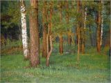Image of landscape