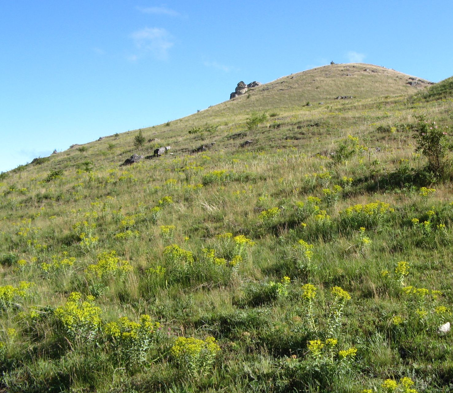 Брынзень, image of landscape/habitat.