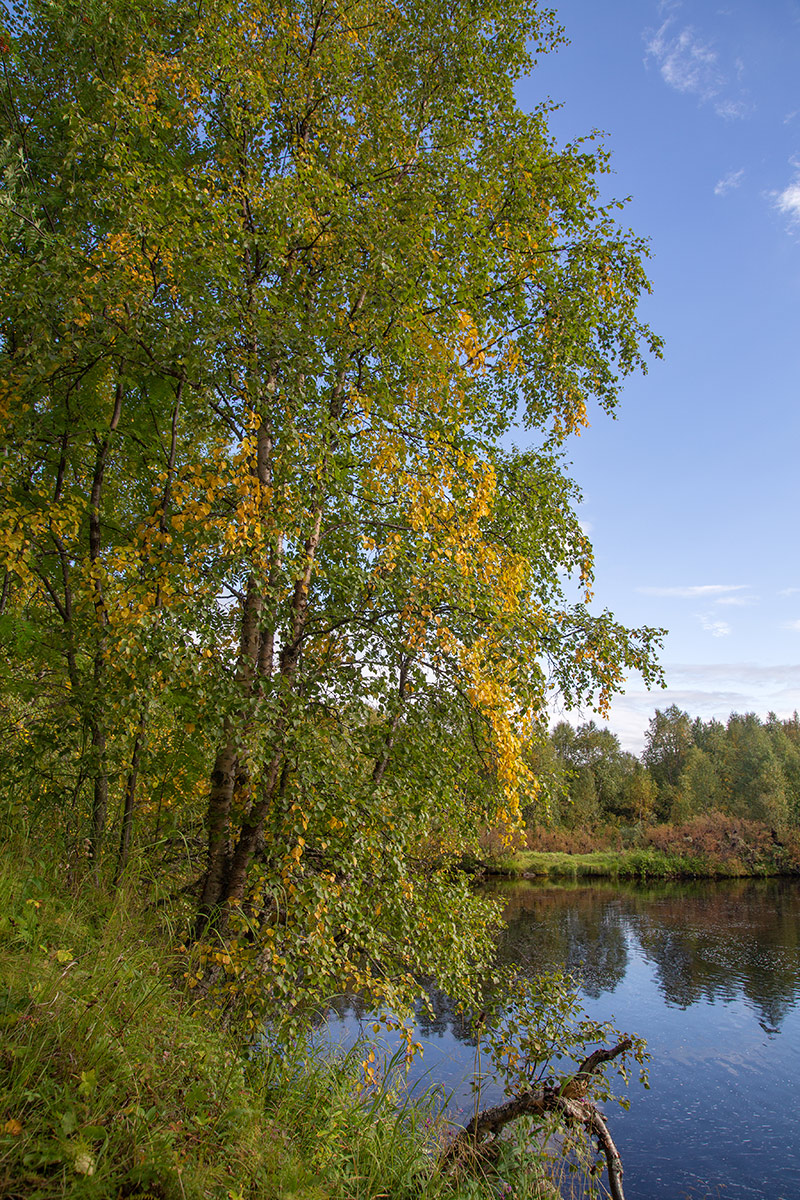 Лавна, image of landscape/habitat.