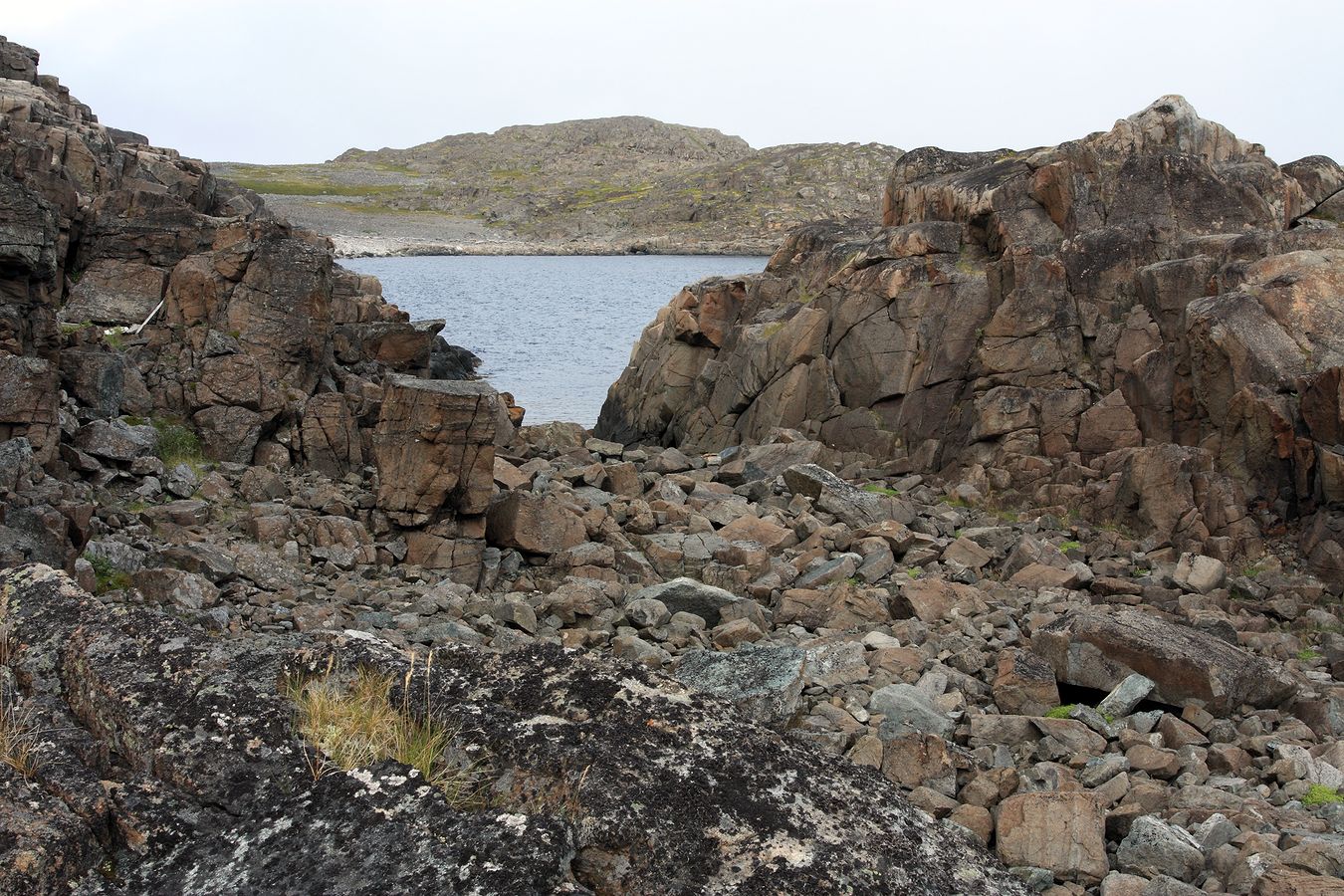 Дальние Зеленцы, image of landscape/habitat.