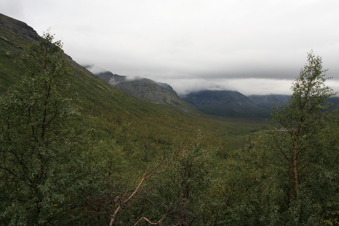 Долина Малого Вудъявра, image of landscape/habitat.