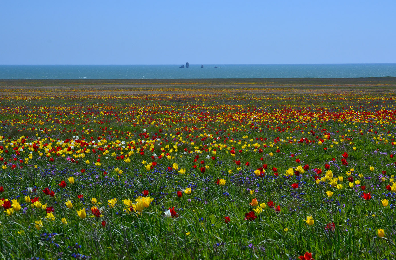 Урочище Латы (оз Узунлар), image of landscape/habitat.