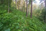 Image of landscape