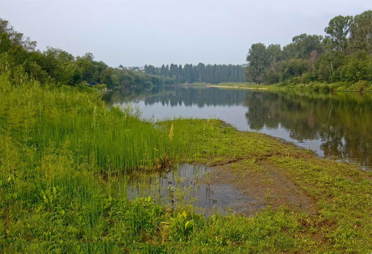 Окрестности деревни Уфа-Шигири, image of landscape/habitat.