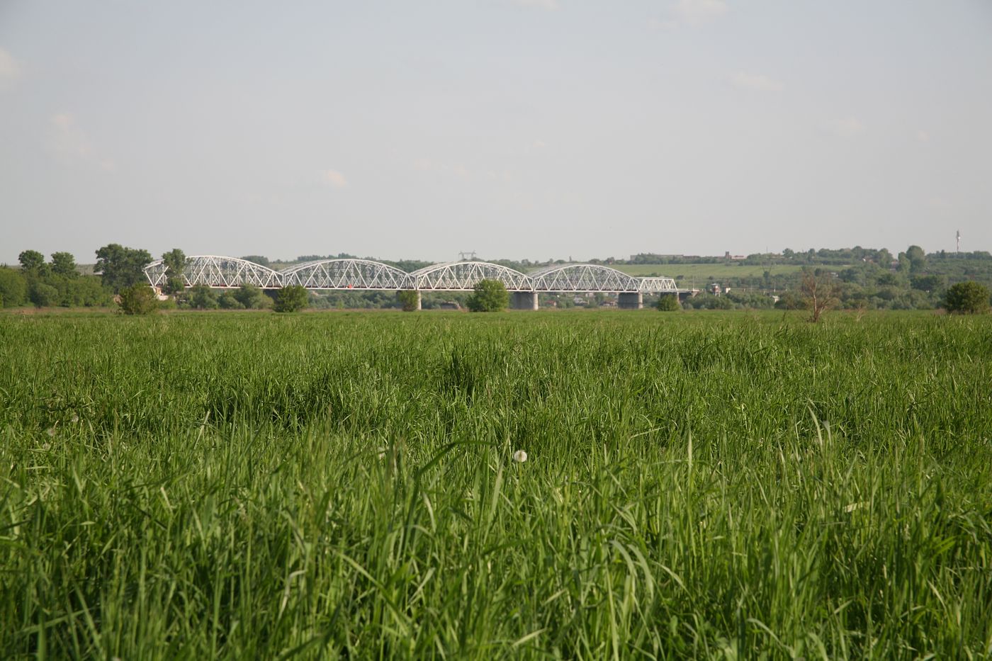 Пойма р. Ока у г. Серпухов, image of landscape/habitat.