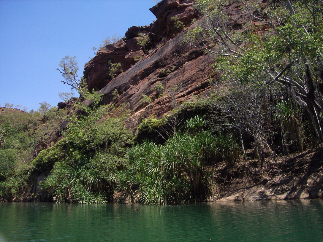 Boodjamulla (Lawn Hill), image of landscape/habitat.