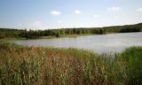 Озеро Клюквенное, image of landscape/habitat.