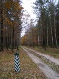 НПП "Деснянско-Старогутский", image of landscape/habitat.