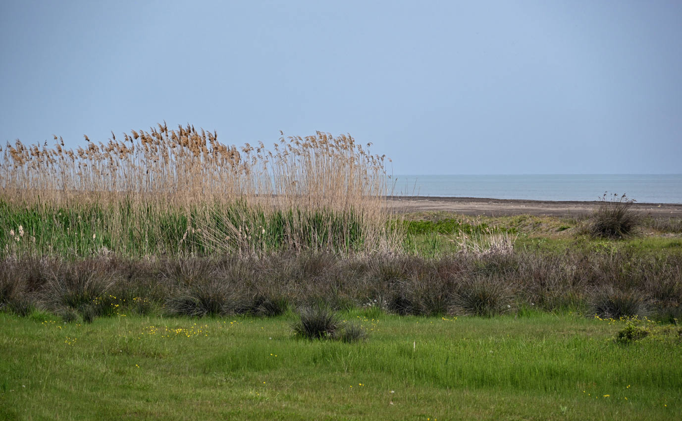 Окрестности села Приморский, image of landscape/habitat.