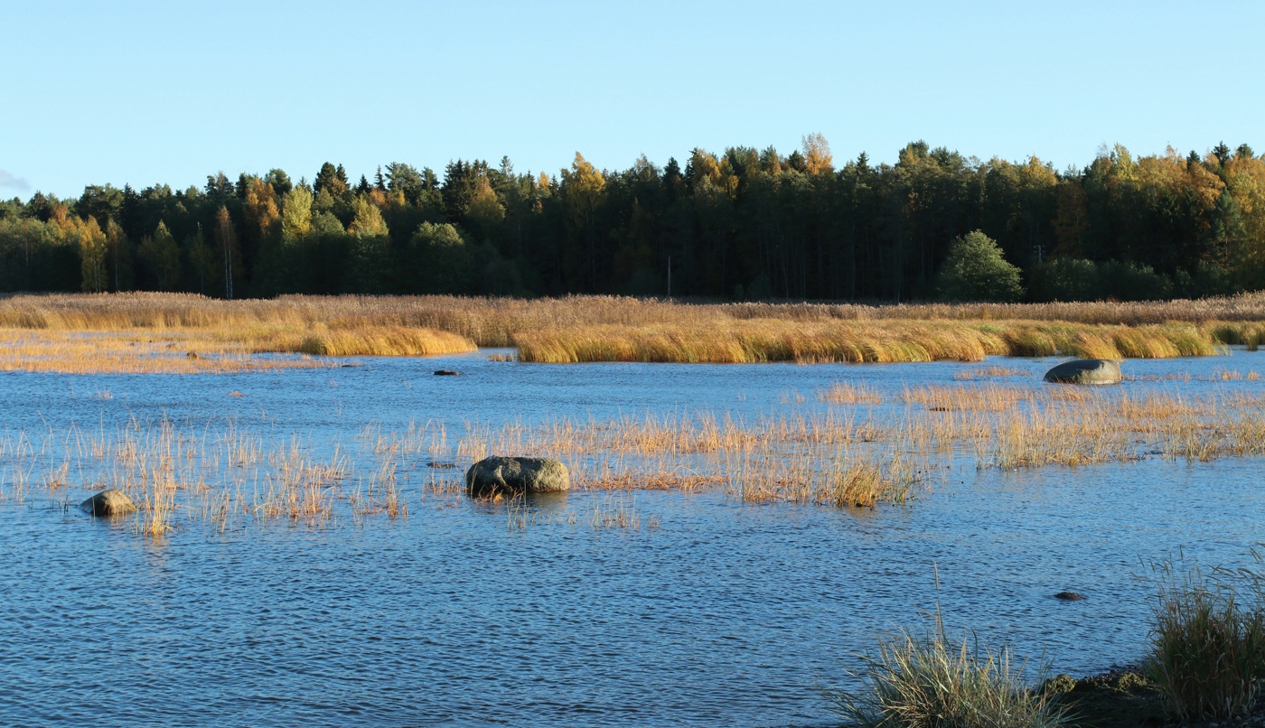 Шепелёвский маяк, image of landscape/habitat.