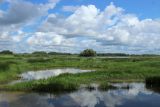 Окрестности музея «Витославлицы», image of landscape/habitat.