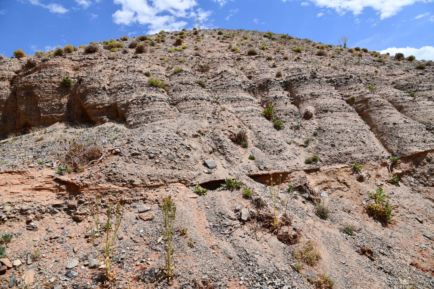 Горы Улькен-Богуты, image of landscape/habitat.