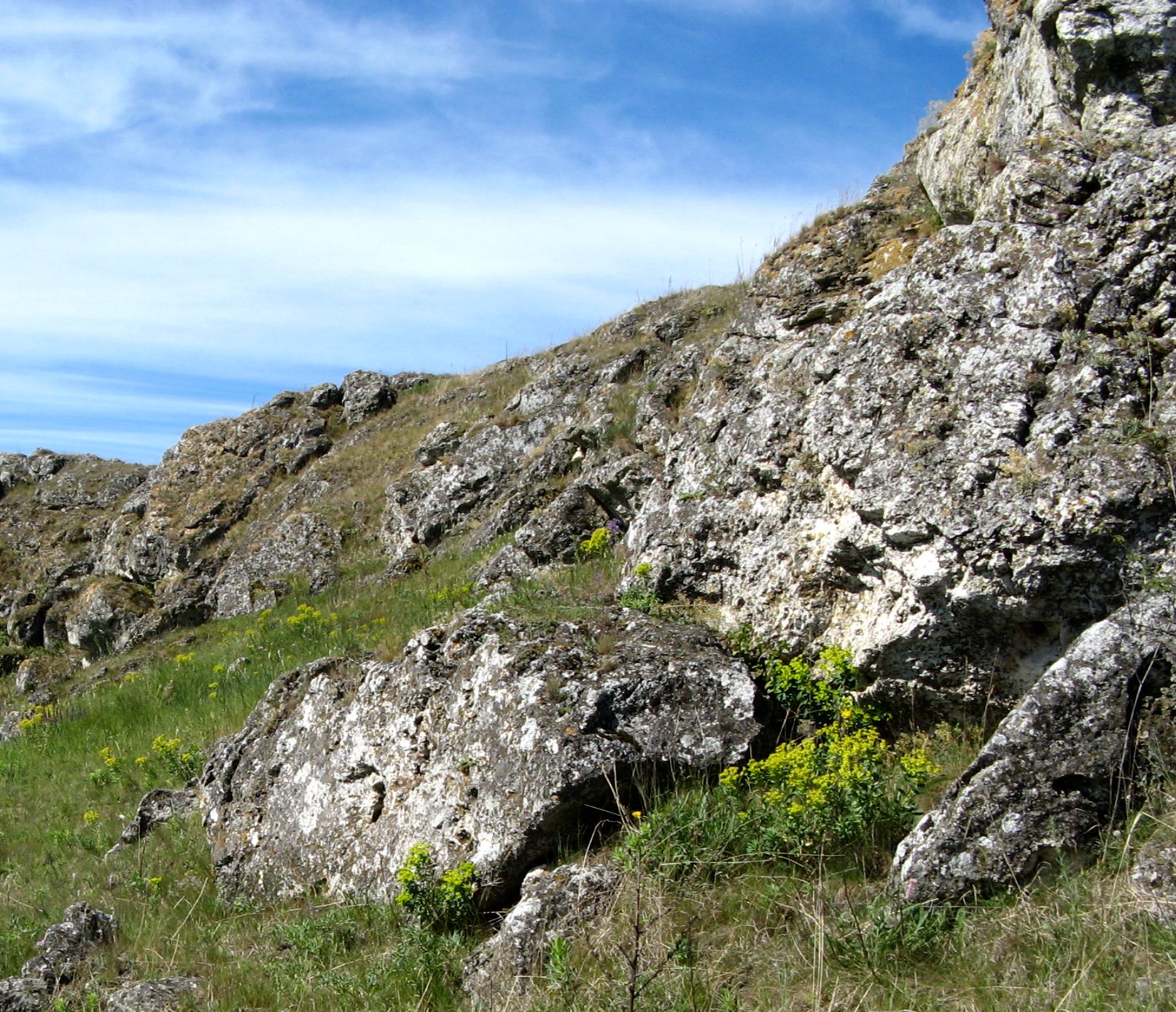 Брынзень, image of landscape/habitat.