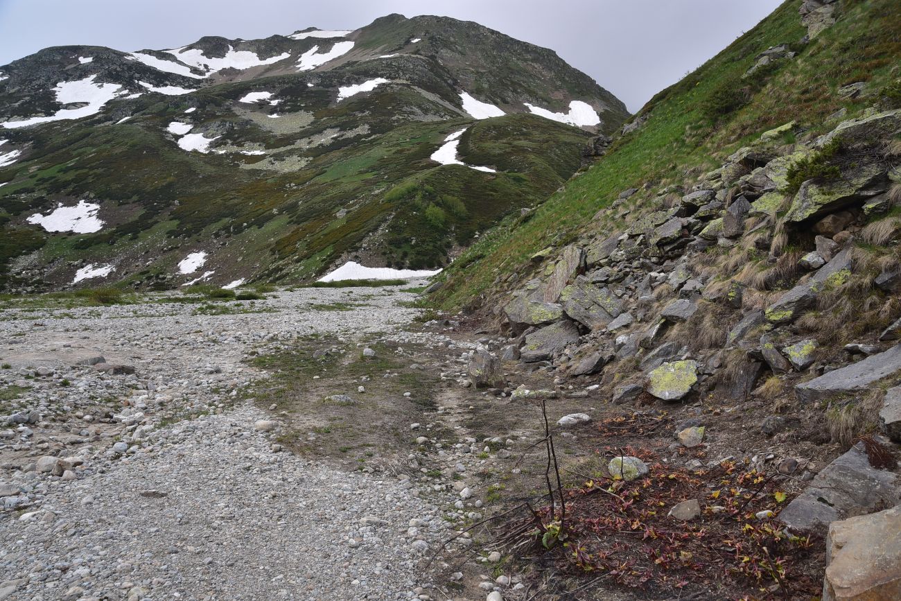 Окрестности озера Донгуз-Орун, image of landscape/habitat.