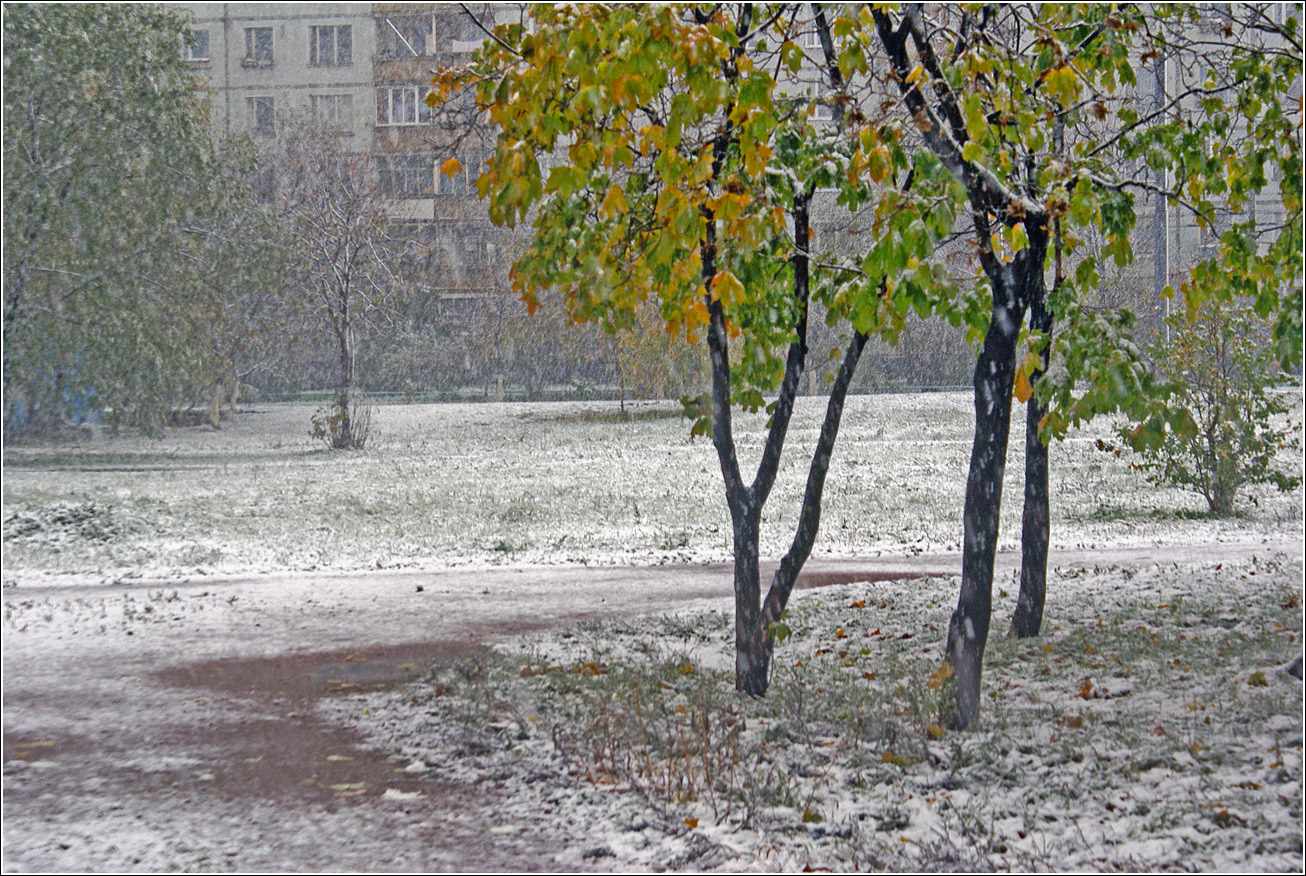 Кузьминский лесопарк, image of landscape/habitat.