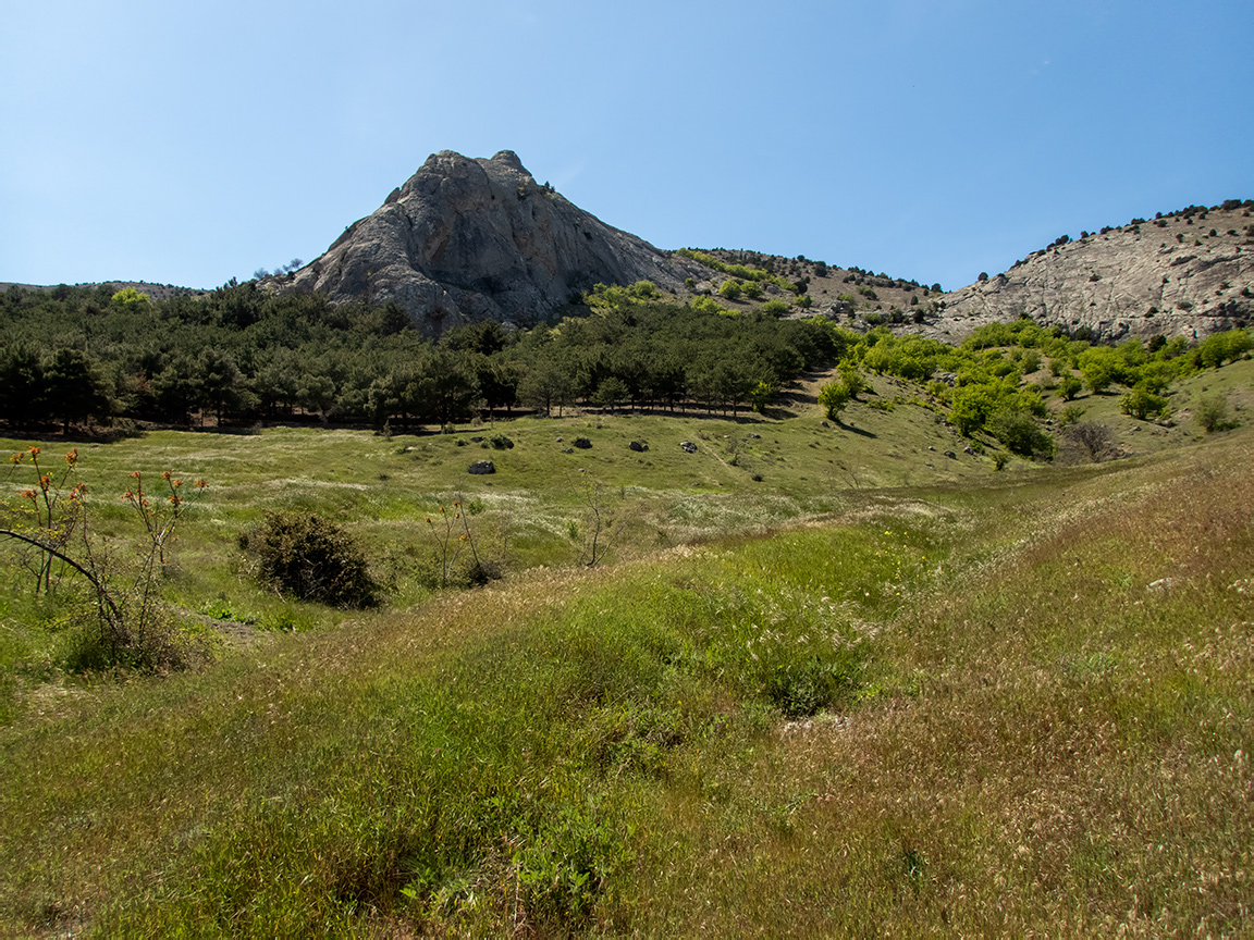 Окрестности села Весёлое, image of landscape/habitat.