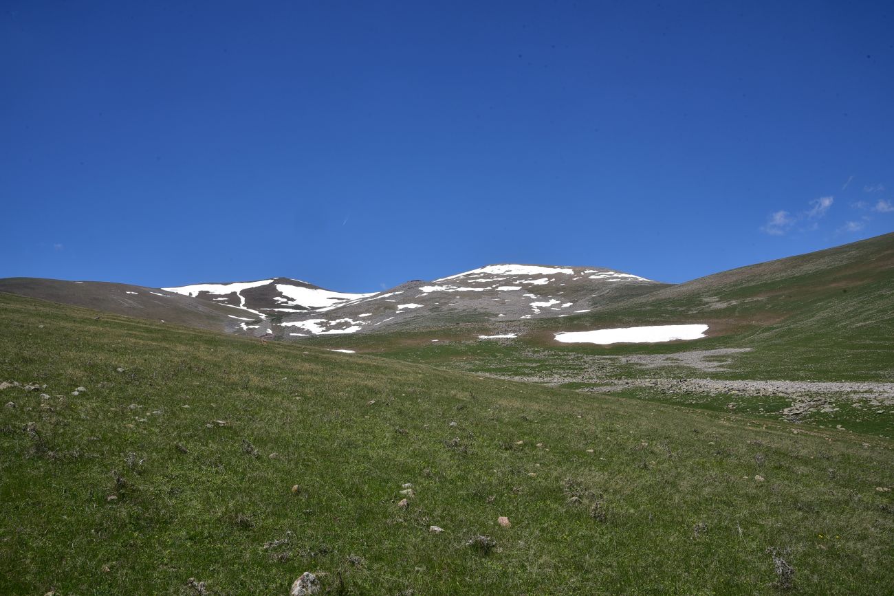 Гора Патара Абули, изображение ландшафта.