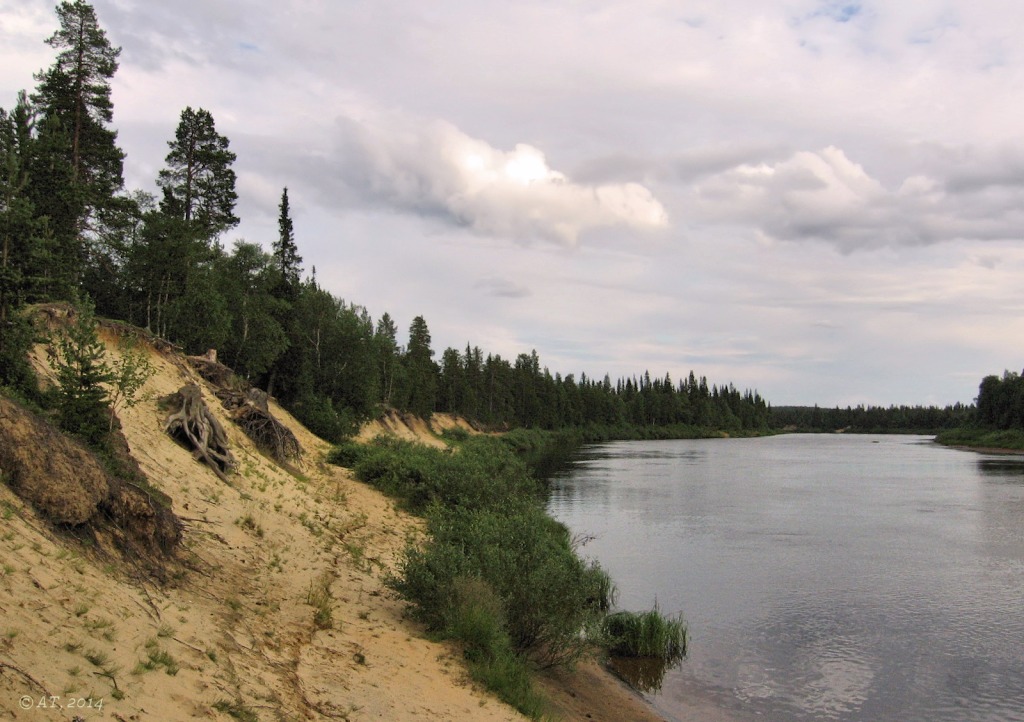 Гора Немецкая, image of landscape/habitat.