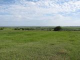 Лубушева степь, image of landscape/habitat.