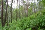Image of landscape