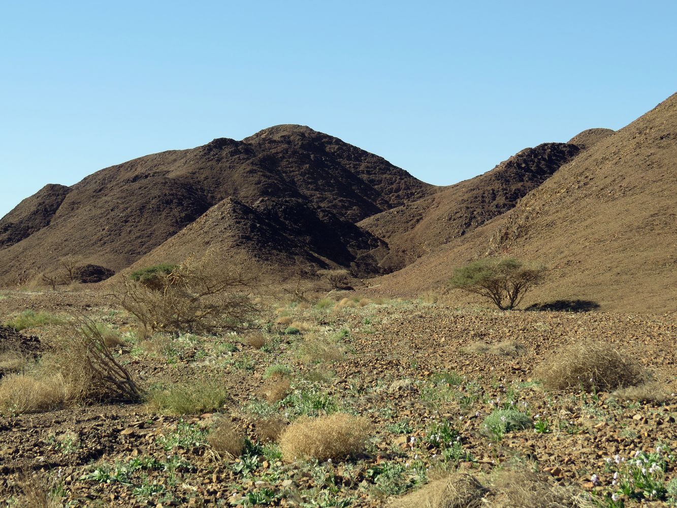 Эйлатские горы, image of landscape/habitat.