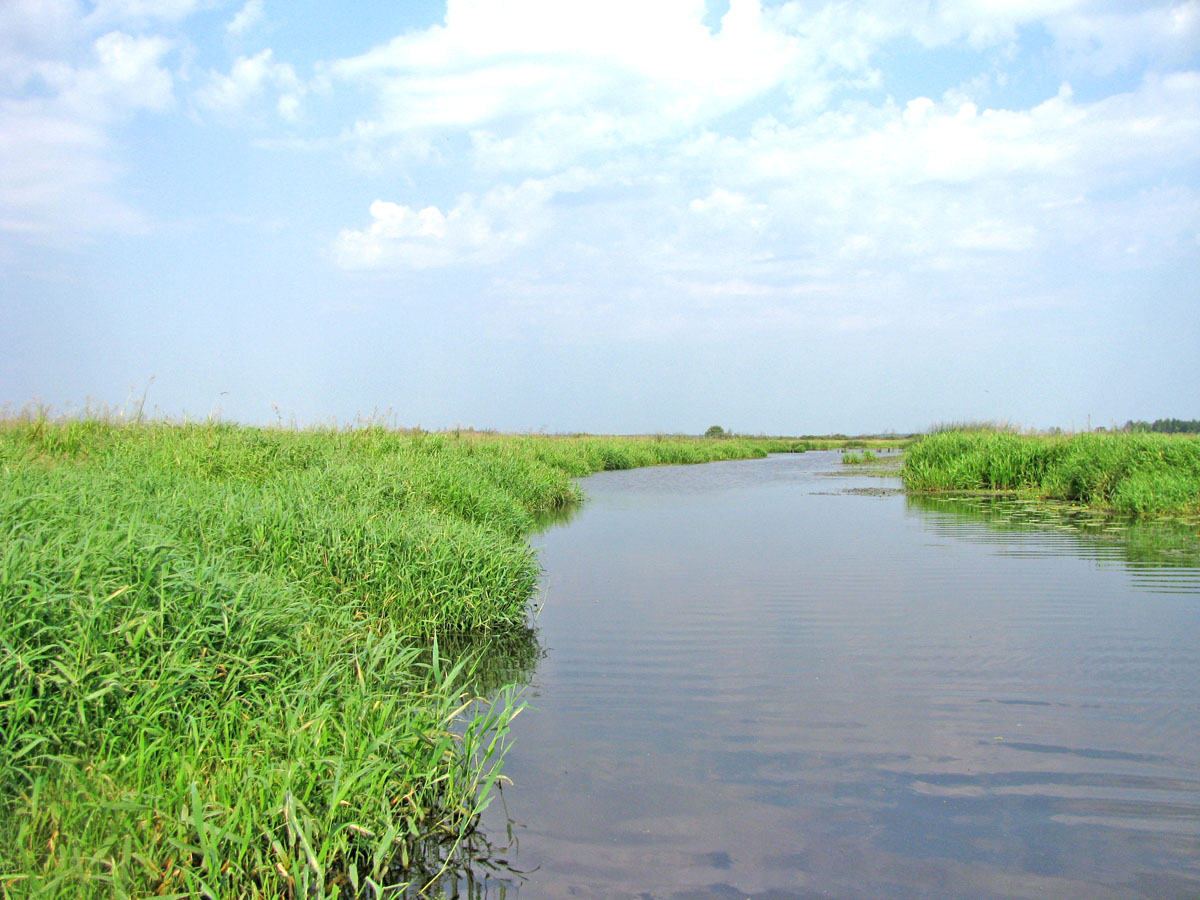 НП Мещёра, image of landscape/habitat.