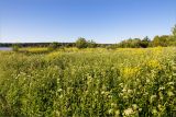 Кюрлевский карьер, image of landscape/habitat.