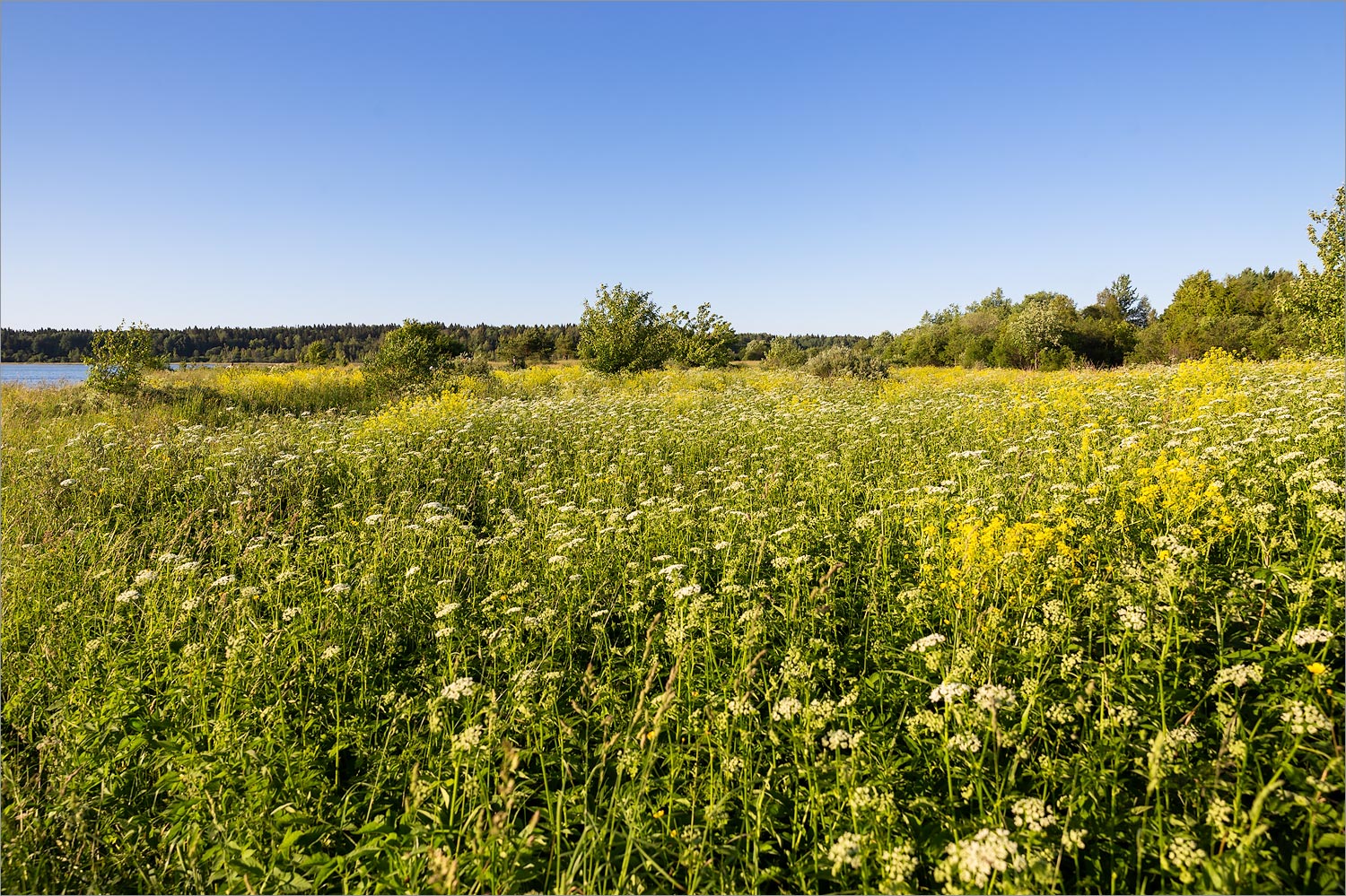 Кюрлевский карьер, image of landscape/habitat.