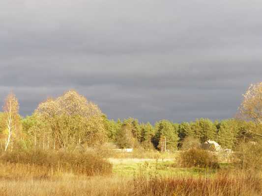 НПП "Деснянско-Старогутский", image of landscape/habitat.