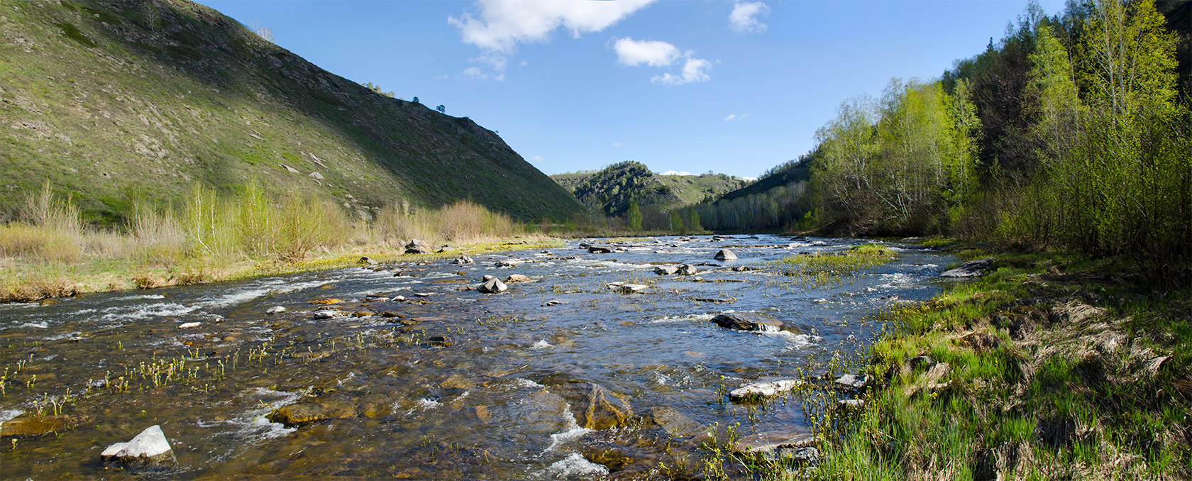 Окрестности Янтышево, image of landscape/habitat.