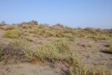 Image of landscape