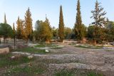Image of landscape