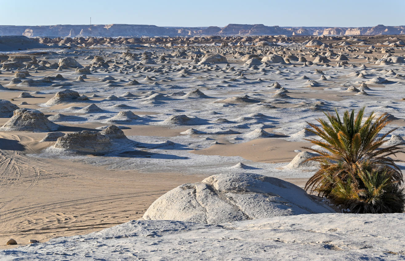 Белая пустыня, image of landscape/habitat.