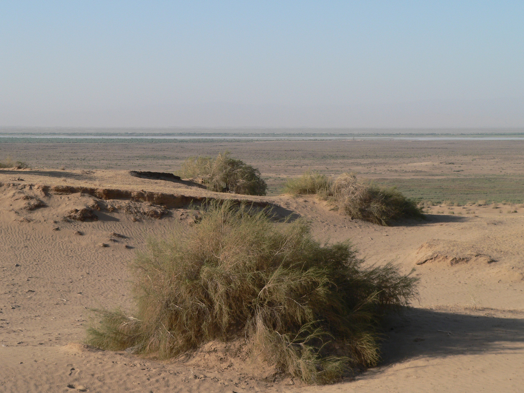 Курджалакум, image of landscape/habitat.