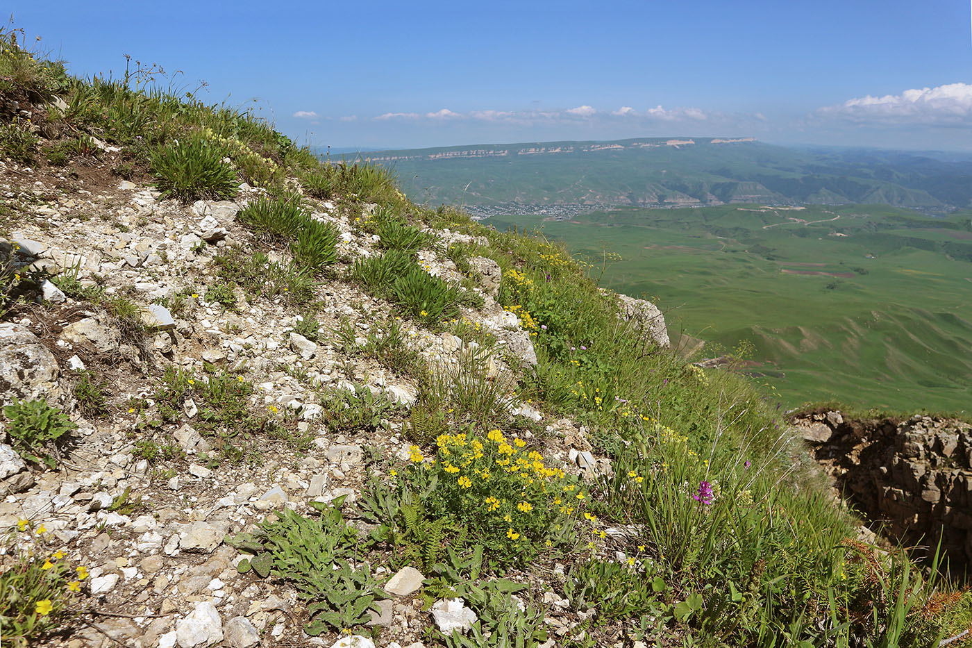 Джангур, image of landscape/habitat.